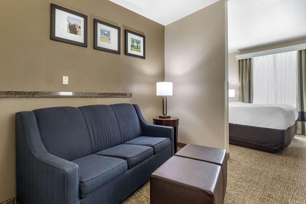 Comfort Suites Plano - Dallas North Pokój zdjęcie